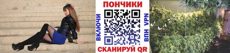 МАРИХУАНА Amnesia  Агидель 